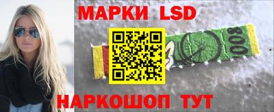 прущие грибы Нальчик