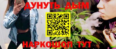 прущие грибы Нальчик