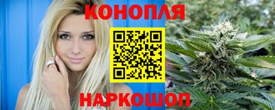 прущие грибы Нальчик