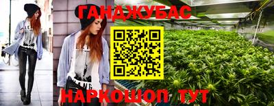 прущие грибы Нальчик