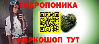прущие грибы Нальчик
