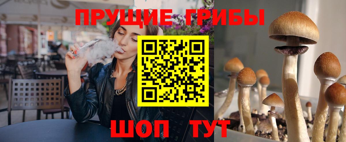 Галлюциногенные грибы прущие грибы  Вход с VPN  Юрга 