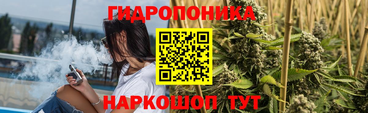 Юрга  Каннабис VHQ  Бошки марихуана план  Вход с VPN  Каннабис White Widow 